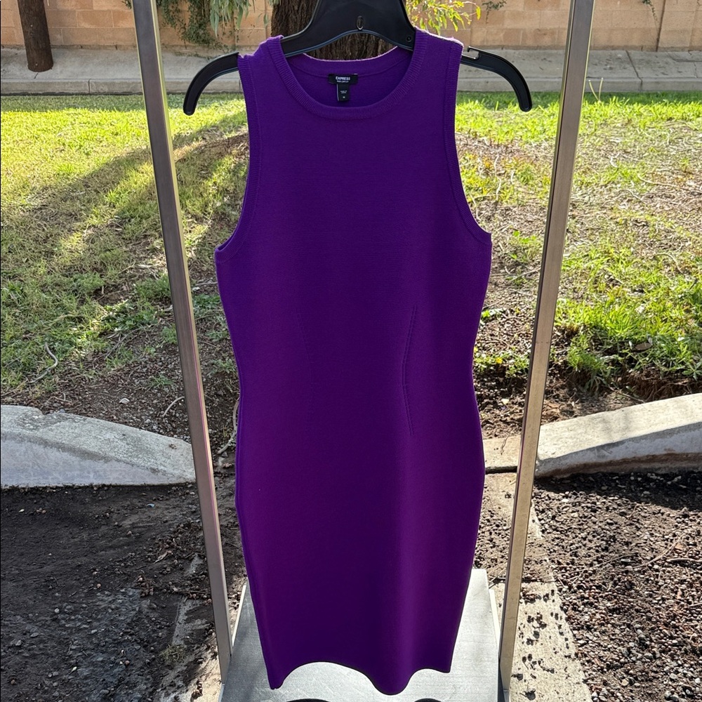FINAL DISCOUNT Express Vibrant Purple Bodycon Dress